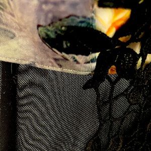 Flowery Hal’s sheer dress